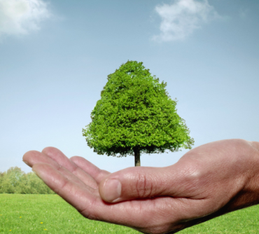  IT et Enjeux environnementaux