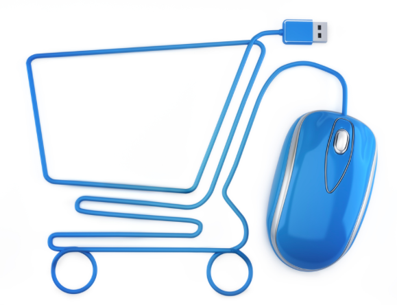  e-Shoppers qui sont-ils ?