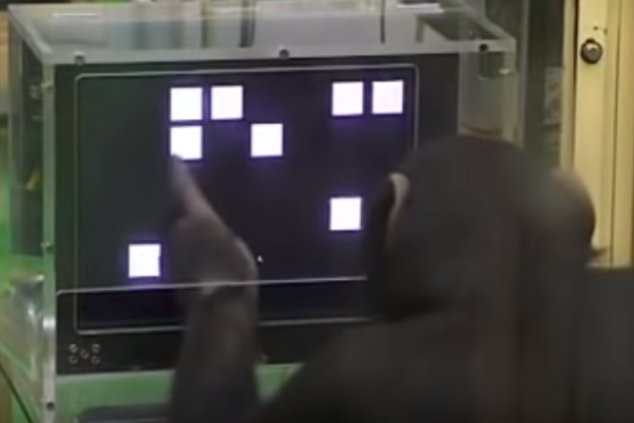  Le traitement visuel de la data : sommes-nous aussi intelligents que des chimpanzés ?