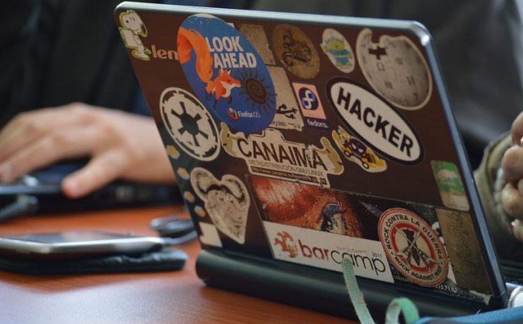  Développeurs, chefs de projets et web designers dans le top 3 des métiers des freelances du numérique 